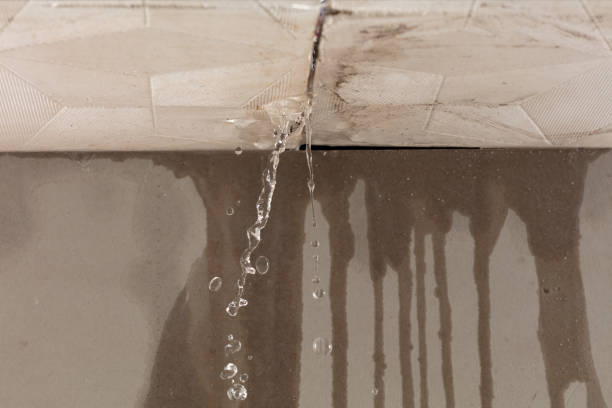 Professional Burst Pipe Cleanup technician working in Maynardville, TN